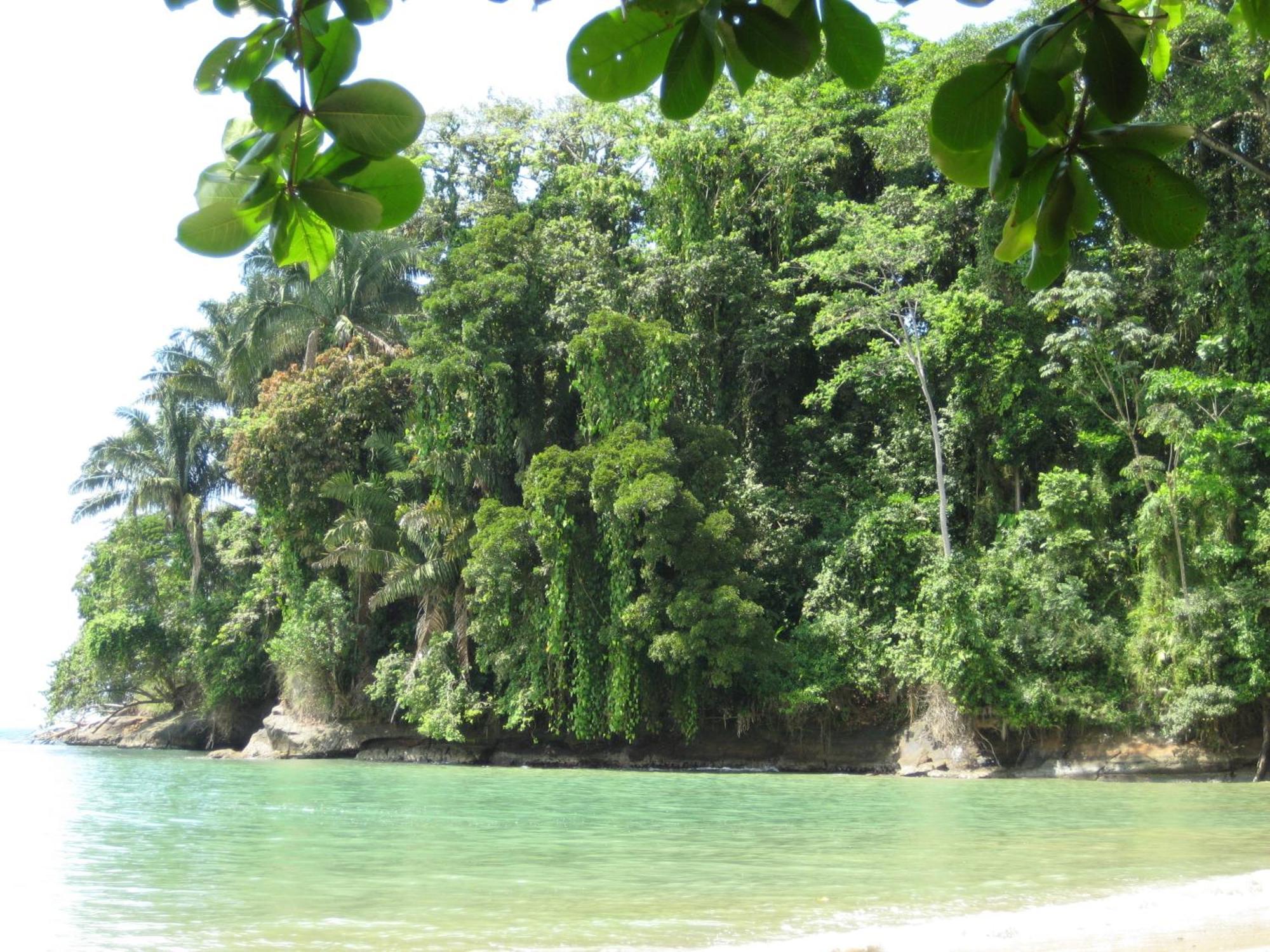 El Tucan Jungle Lodge Puerto Viejo de Talamanca Экстерьер фото