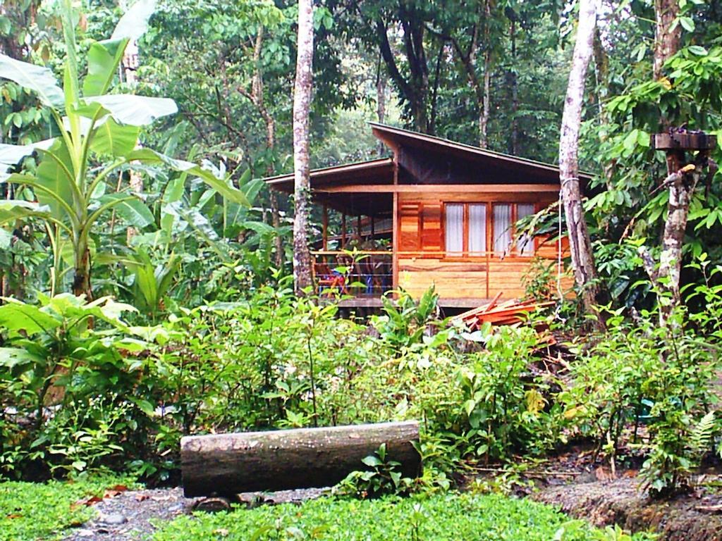 El Tucan Jungle Lodge Puerto Viejo de Talamanca Экстерьер фото