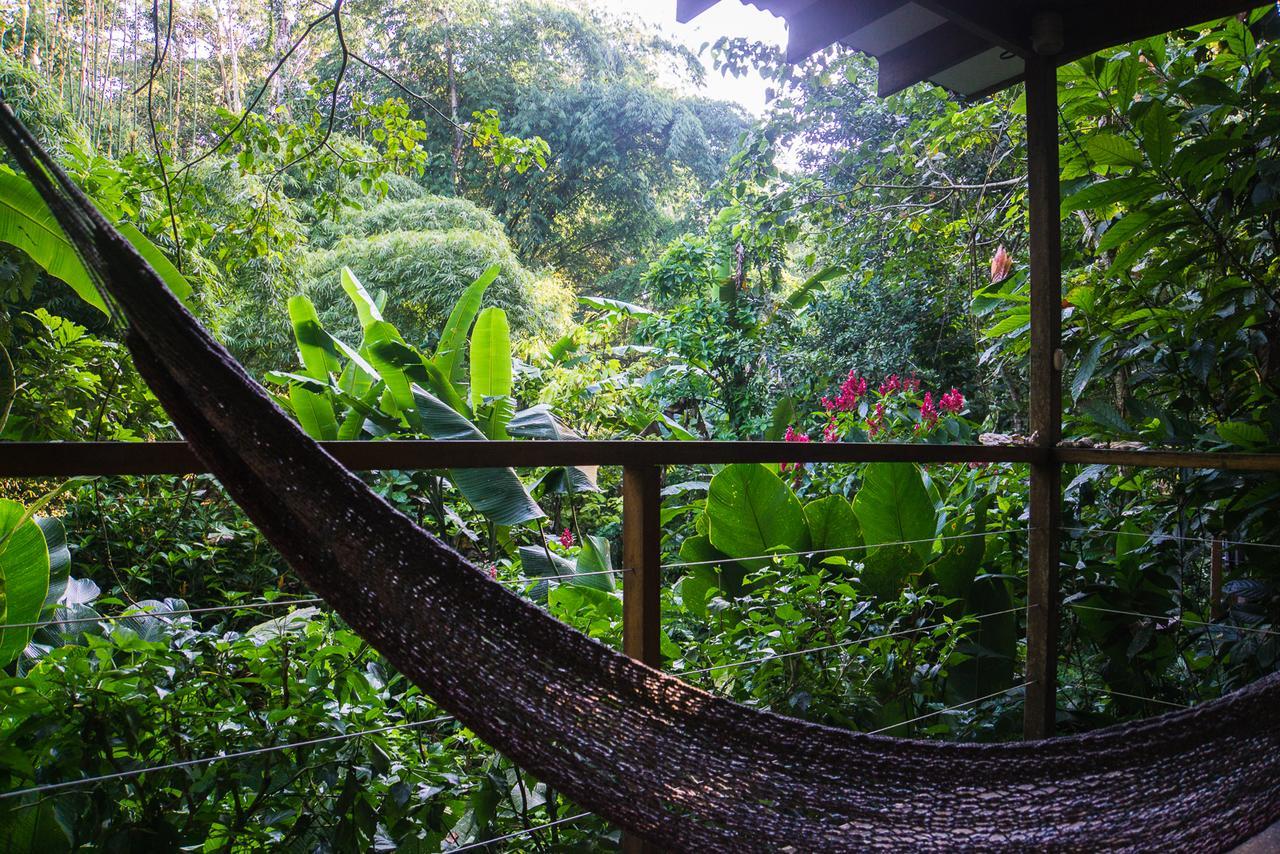 El Tucan Jungle Lodge Puerto Viejo de Talamanca Экстерьер фото