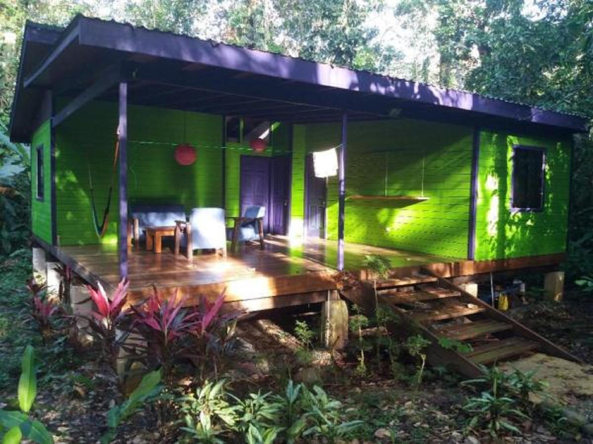 El Tucan Jungle Lodge Puerto Viejo de Talamanca Экстерьер фото