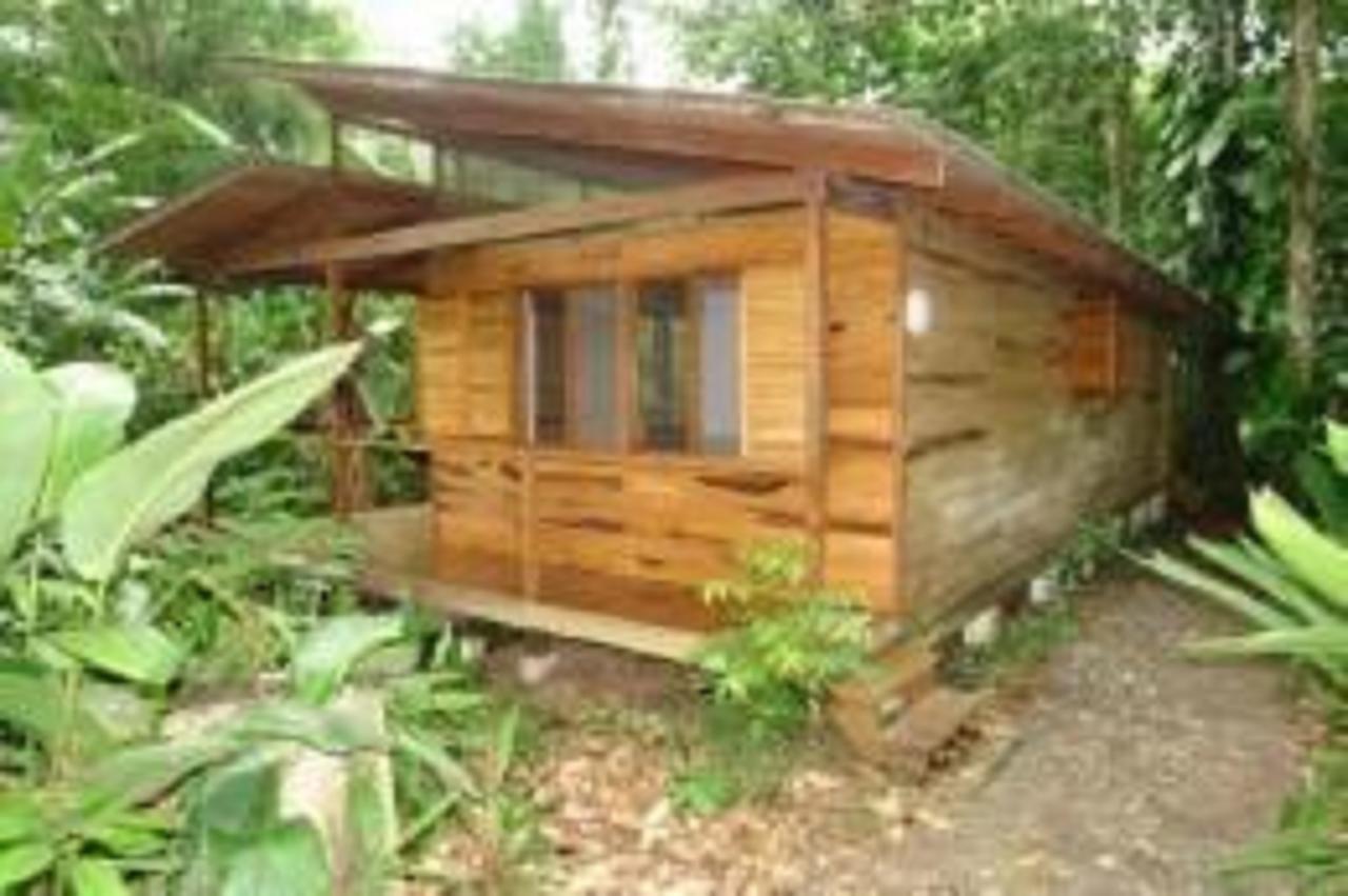 El Tucan Jungle Lodge Puerto Viejo de Talamanca Экстерьер фото