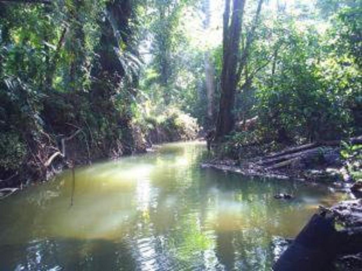 El Tucan Jungle Lodge Puerto Viejo de Talamanca Экстерьер фото